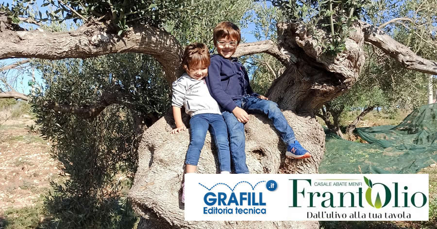 Come raggiungere il FrantOlio Casale Abate