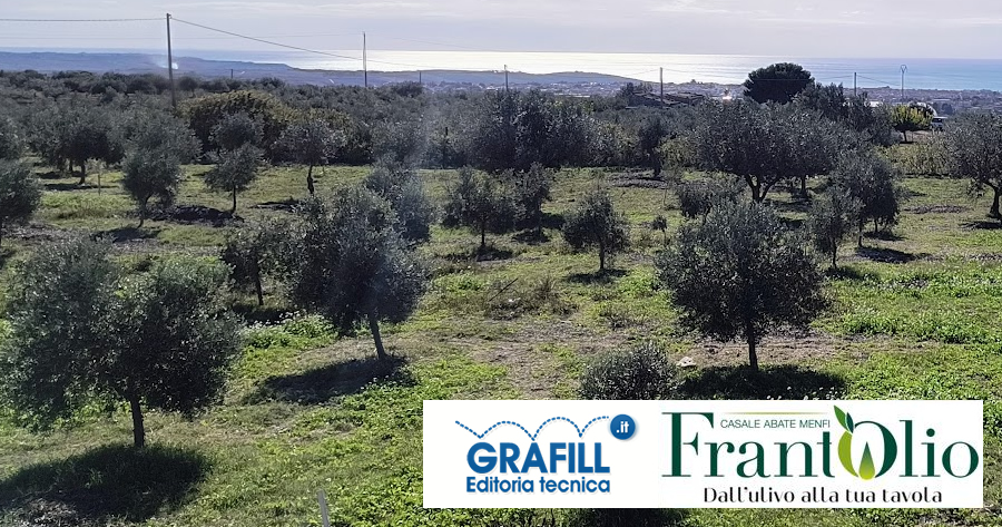 Packaging green, filiera corta, visione lunga