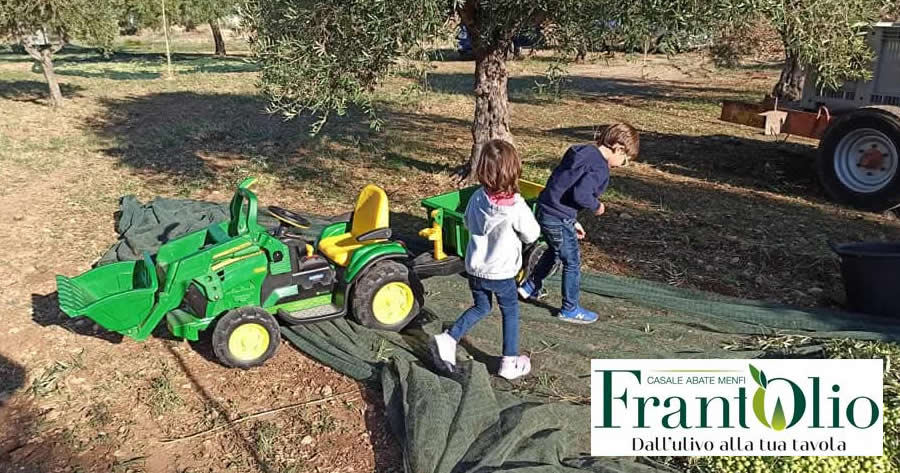 Ratatouille di Anton Ego con l’Olio EVO IGP Sicilia
