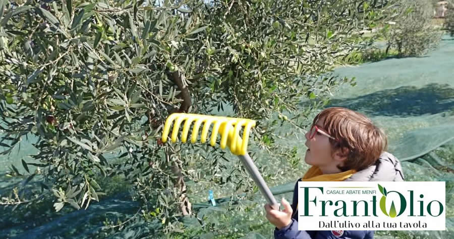 Ratatouille di Anton Ego con l’Olio EVO IGP Sicilia
