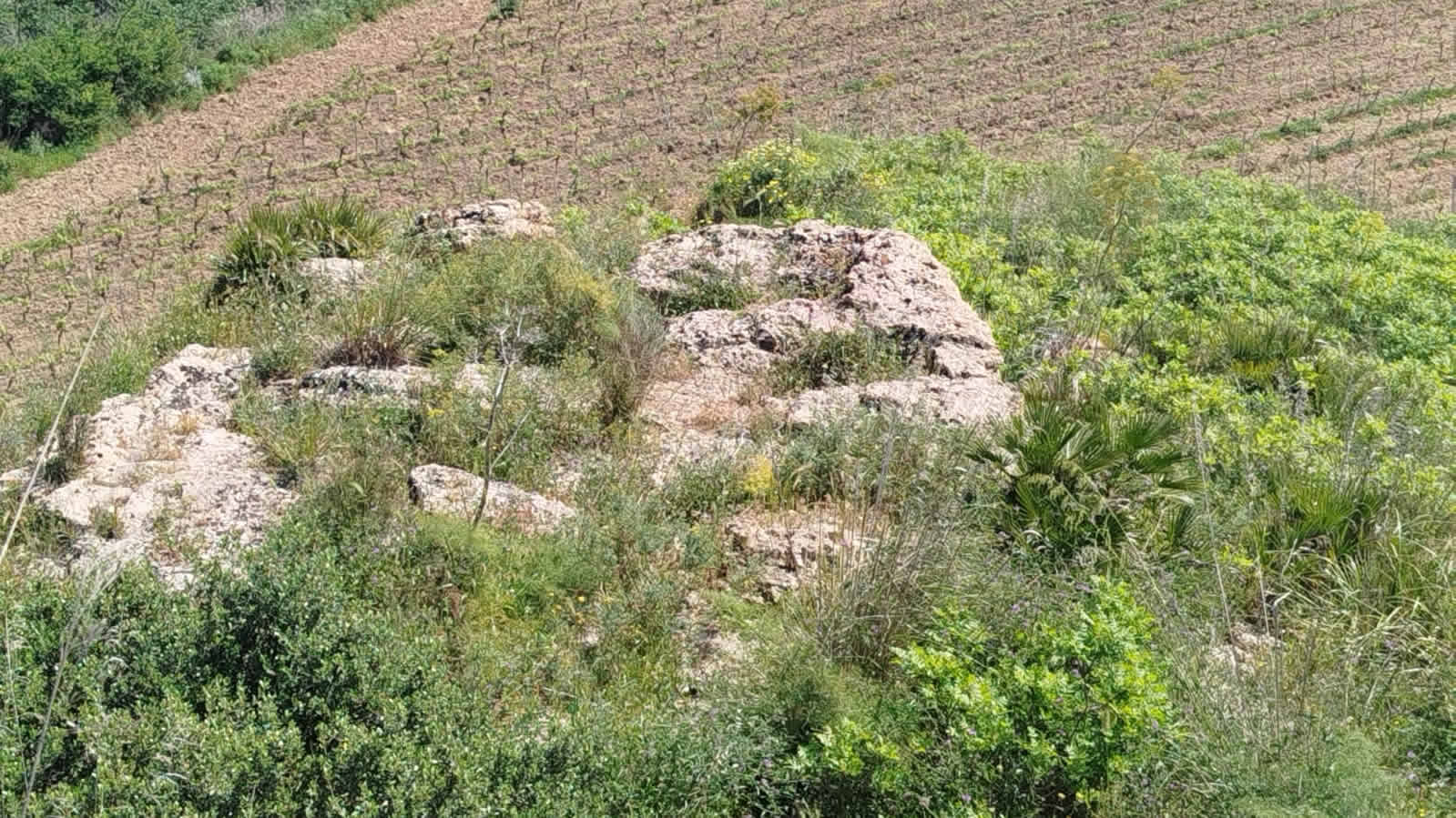 itinerario archeologico montagnoli di Menfi e dintorni
