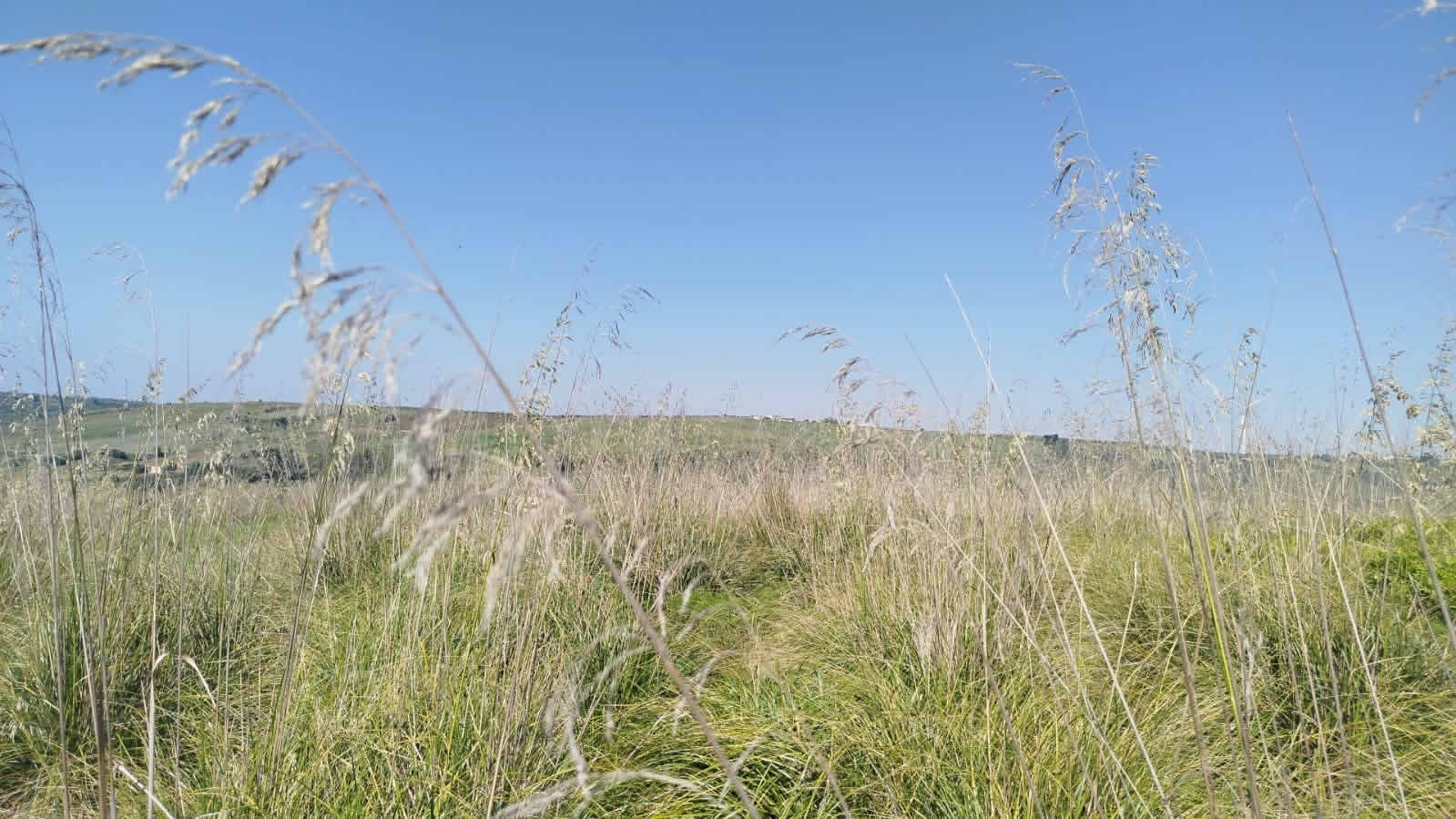 itinerario archeologico montagnoli di Menfi e dintorni
