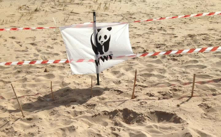 Spiaggia di Lido Fiori